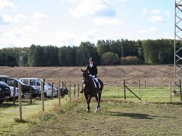 2012 Military Haslev